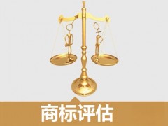 商標(biāo)的價(jià)值評(píng)估，新手賣(mài)家必看