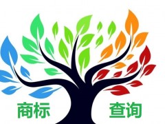 如何應(yīng)對商標(biāo)查詢盲期？